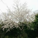 유달산으로가자