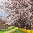 낙동강변10 이미지