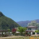 임씨네농장 이미지