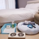 리센오션파크호텔 네이버블로그