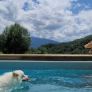 마치집인냥 이미지