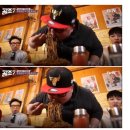 비제이공조