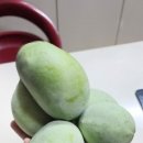 (주)나무 이미지