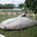 삼거리천곡고인돌 이미지