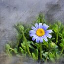 동산자연유치원 이미지