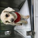 당림초등학교 이미지