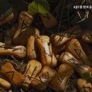 중장비학원 KBT중장비운전학원 KBT중장비운전학원, 전문 교육 제공