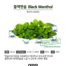 액상대장 이미지