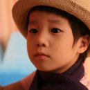 최유신 Daum카페