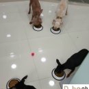 지누동물병원 이미지