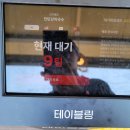 강원도 철원 맛집 한탄강 막국수, 2026 DMZ 피스트레인 뮤직 페스티벌 고석정 맛집 후기