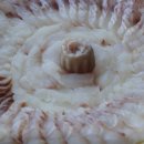 어부횟집 이미지