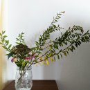 울산시장 | 울산꽃시장 후기 베스트 5: 처음 가도 실패 없는 장보기 루트