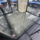 백석당구클럽 이미지