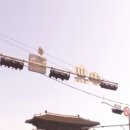 남산숲속여행길 이미지