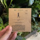 바람불이 입구 | ２０２３年, ＮＥＷ ＹＯＲＫ ⑦