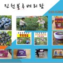 보련산 농장 네이버블로그