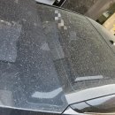 보배자동차세차장 이미지