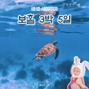 푸른바다 피시샵 | [공지] 보홀 프리다이빙 여행 코스 3박 5일 총정리