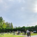 필라프에빠지다 봉담점 | 4인가족 호텔 추천 수원 라비돌 리조트 후기 기대이상이라는 평에 공감