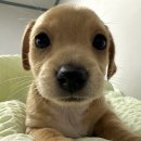 (주)예송 | 일상아 일상아 나의 일상아