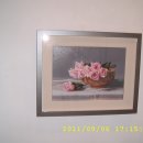 박혁동 카카오 검색결과