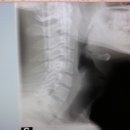 수림한방병원 이미지