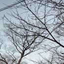 M마루PC방(남양점) | 경기옛길 삼남길 1길 한양관문길