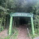 대청 계곡길 이미지