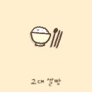 교대 쌀빵