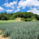 체르맛트 이미지