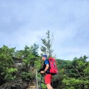 번암산휴게소 이미지