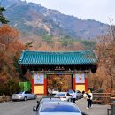 도선사 티스토리