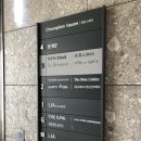 빌라드스파이시더청담