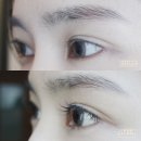 코코호도 평촌점 | [산본역 라인살롱] 안양속눈썹연장 / 안양속눈썹펌 / 첫방문 할인
