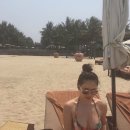 청춘펍 네이버블로그