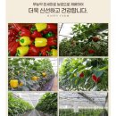 여양농장 이미지