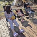 제주캠핑장 추천 _ 동백꽃이 만개한 3월의 모구리야영장 (노스피크 퍼시픽오션)