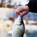 내촌낚시터 이미지