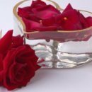 살아생전 이미지