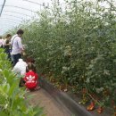 금원농장 이미지