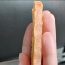 펫팸푸드 이미지