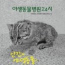 진솔동물병원 이미지