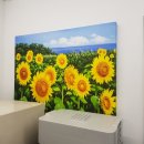 강북OA센타 이미지