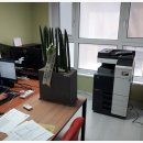 성한렌탈 이미지