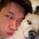 스테이포레스트 이미지