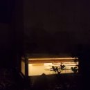 보나차실 | 꼭 가봐야합니다. 차의 세계를 만나게 해준 "보나차실" / 제주 구좌 가볼만한곳, 다도 체험, 예약 방법