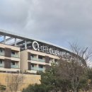 마인드휘트니스 올레시장점 | 제주 더큐브리조트 아이랑 내돈내산 후기 - 5만원 가성비 온돌 숙소