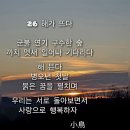 해가뜨다 이미지