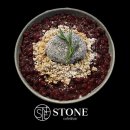 수원-1074 | 수원역 느좋 카페&amp;바 스톤 후기♡